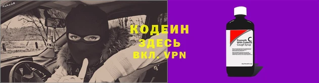 мяу мяу мука Алзамай
